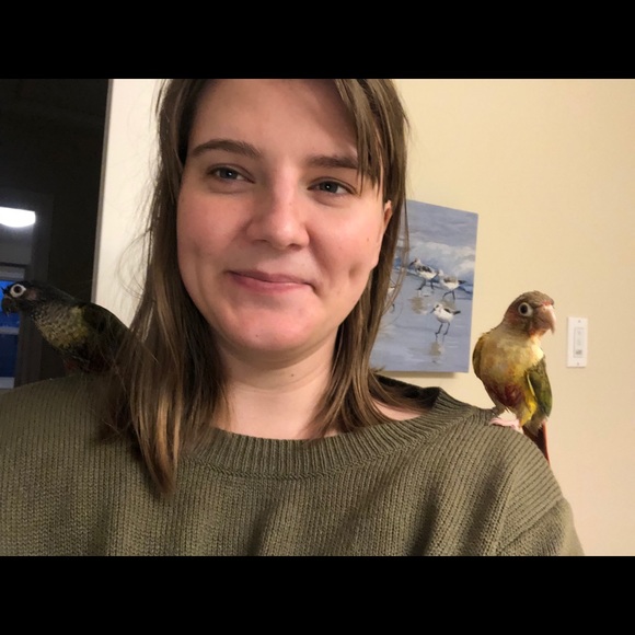 Meet your Posher, Mack - Picture 1 of 1